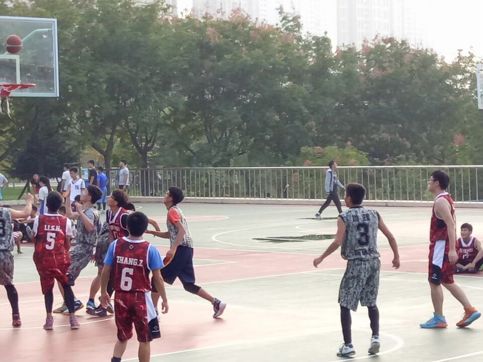 Cache_121b5888594b29c9.